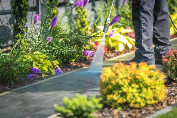 Best Patio and Deck Pressure Washing  in Far Hills, NJ
